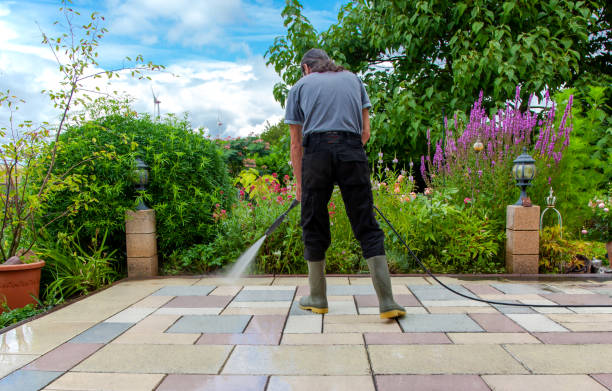 Best Spring Cleaning  in Mount Vernon, NY